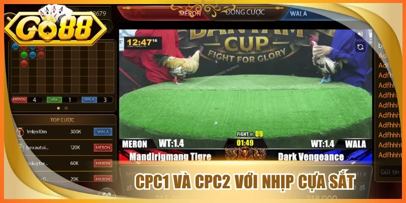 Cpc1 và cpc2 với nhịp cựa sắt