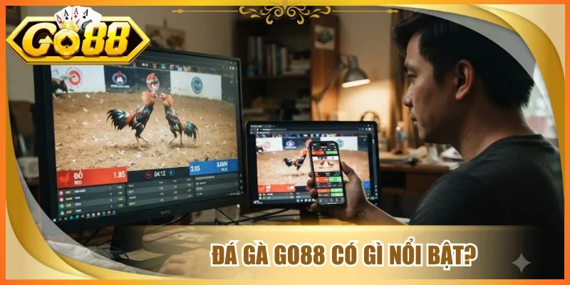 Đá gà go88 có gì nổi bật?