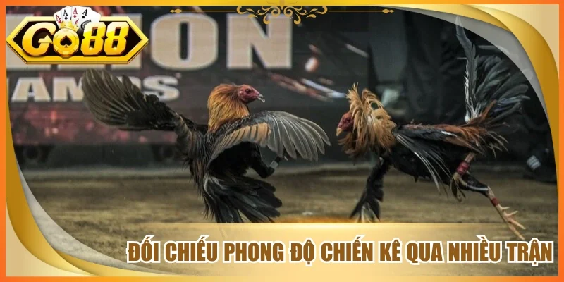 Đối chiếu phong độ chiến kê qua nhiều trận
